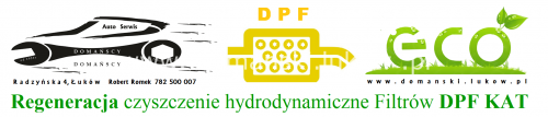 Regeneracja czyszczenie hydrodynamiczne Filtrów DPF KAT DPF Cleaner Maszyna Domański Serwis Łuków